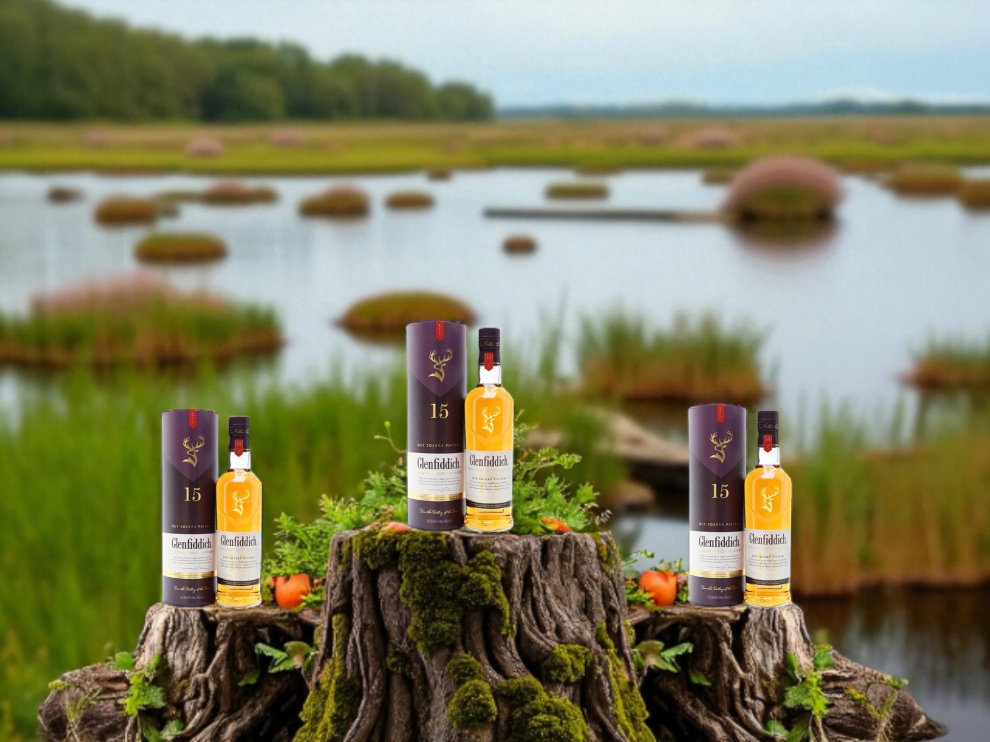 Rượu Glenfiddich 15