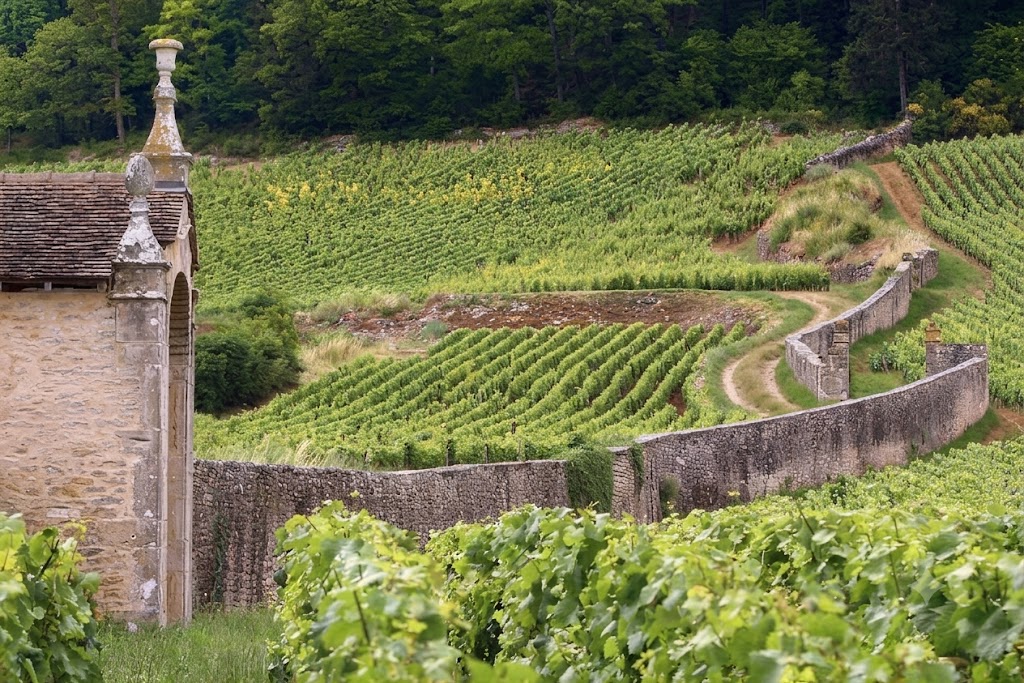 Rượu vang Pháp Louis Latour Charmes-Chambertin
