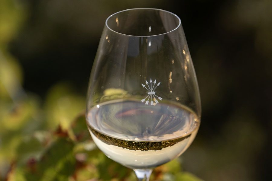 Rượu Champagne Barons de Rothschild Concordia Brut