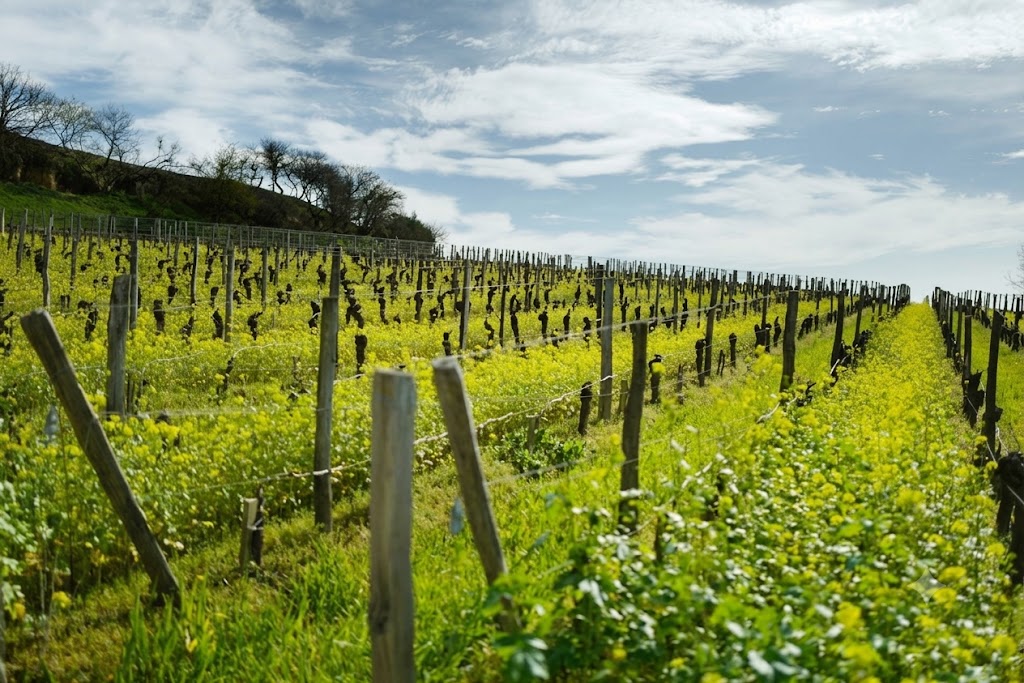 Rượu vang đỏ Pháp Château Bélair Monange 2009