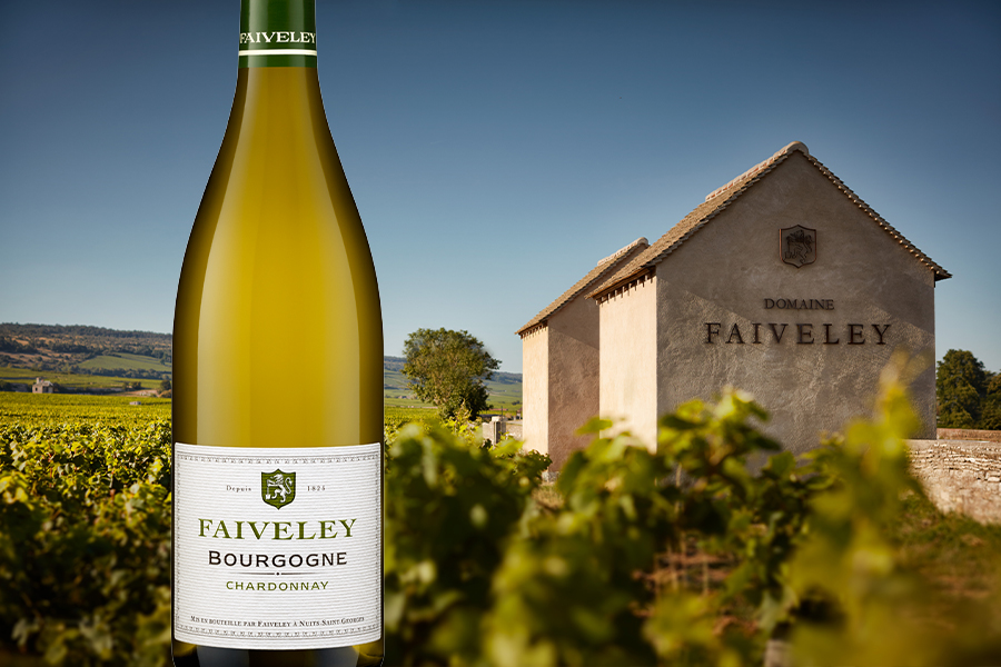 Rượu Vang Pháp Domaine Faiveley Bourgogne Chardonnay
