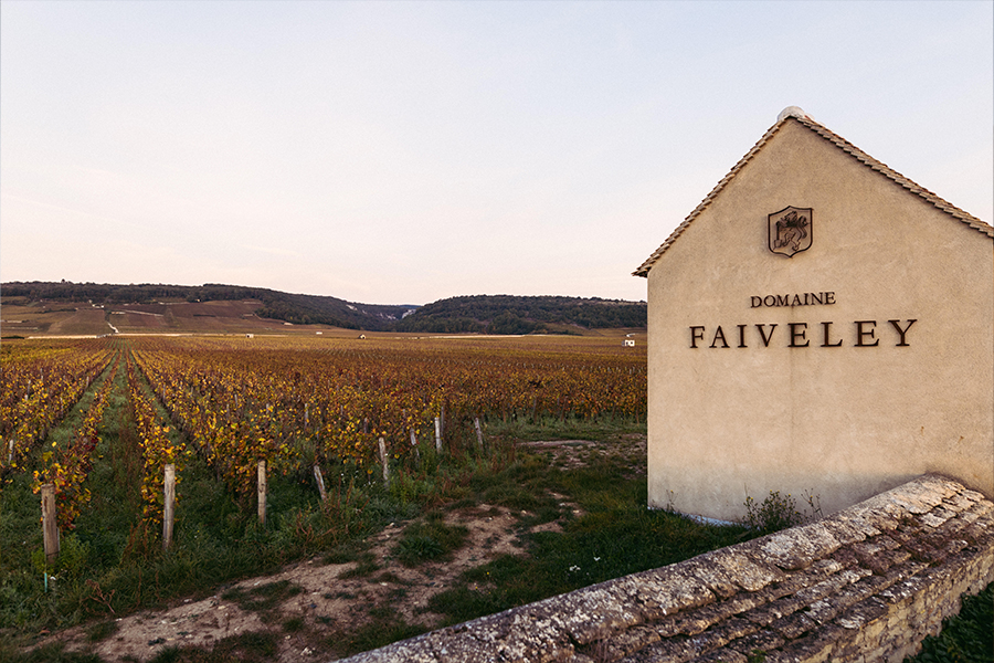Rượu Vang Pháp Domaine Faiveley Bourgogne Pinot Noir