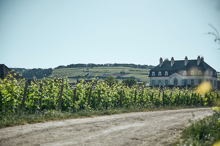Rượu vang trắng Famille Carabello-Baum Corton Charlemagne Grand Cru 2019