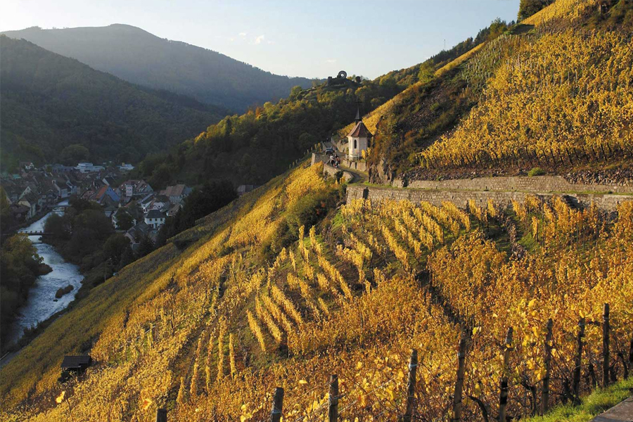 Rượu Domaine Zind Humbrecht Rangen de Thann Grand Cru Pinot Gris 2020
