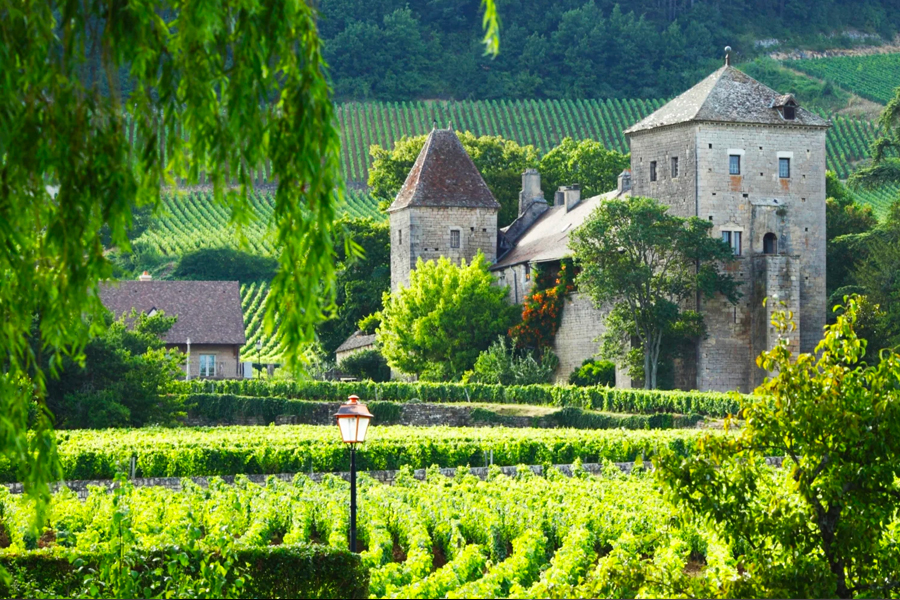 Vang Domaine Denis Mortet Gevrey-Chambertin Lavaux St Jacques 2018