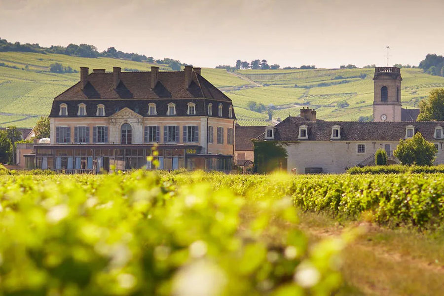 Rượu vang Château De Pommard Clos Marey-Monge Monopole 2019