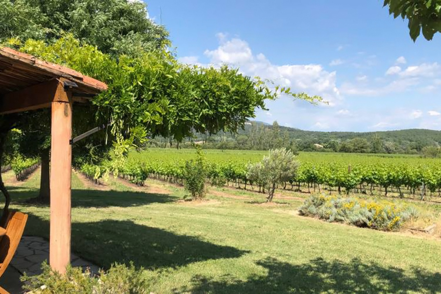 Rượu vang Pháp Le Cabanon Syrah