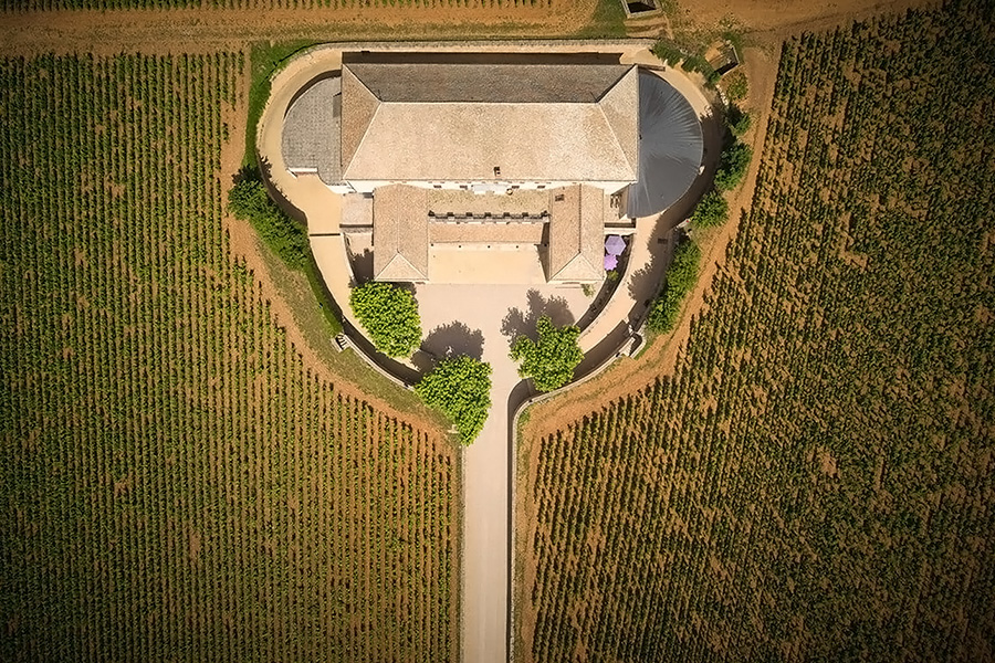 Rượu vang trắng Louis Latour Corton-Charlemagne Grand Cru 2020