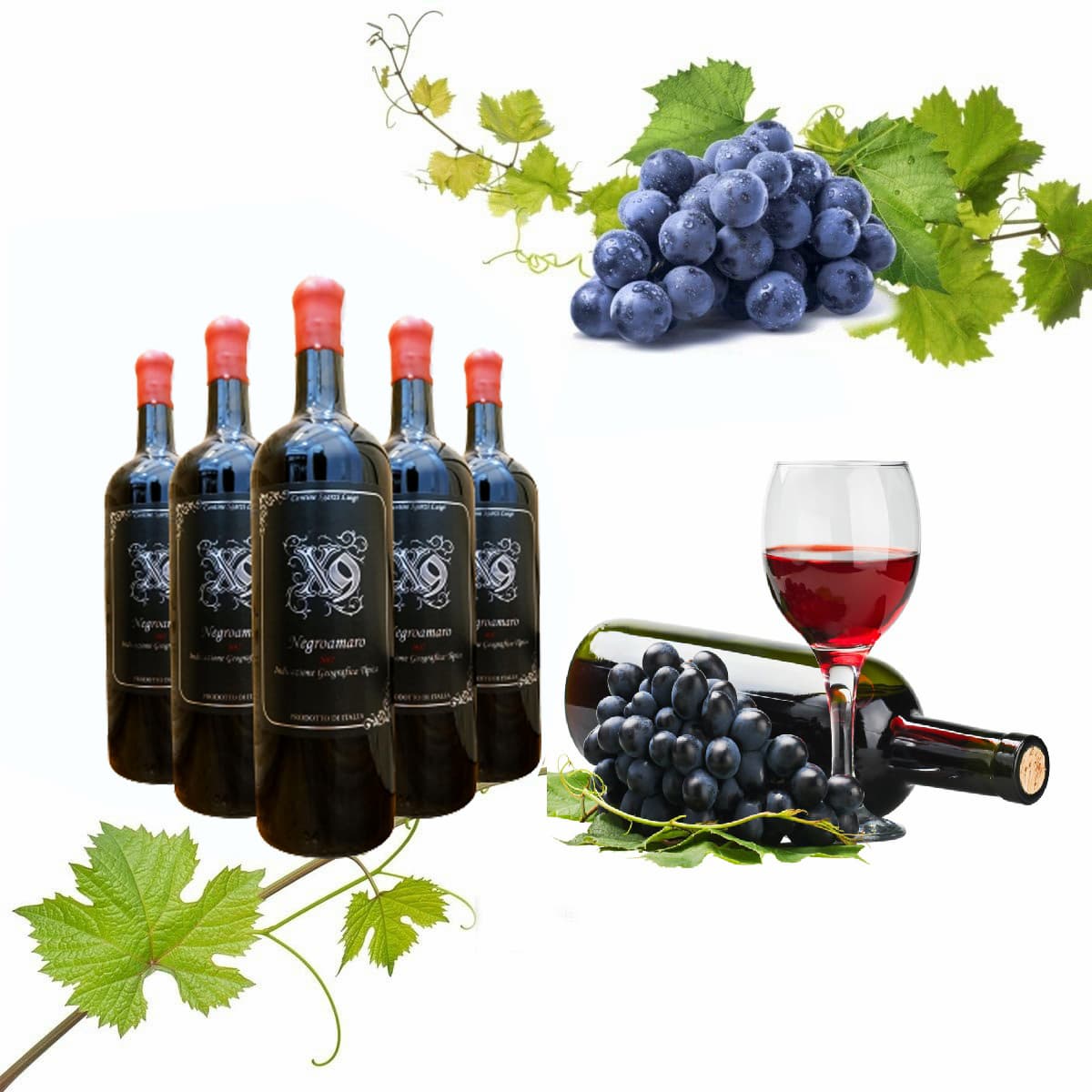 Mua rượu vang Ý ở đâu uy tín tại Hà Nội và TP.HCM?