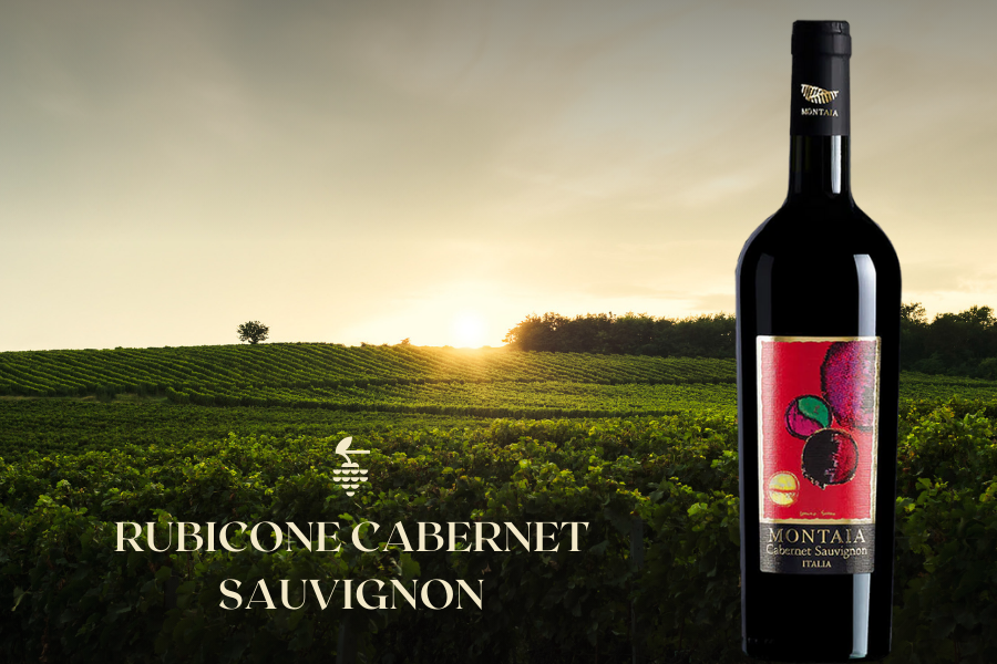 Rượu vang đỏ Rubicone Cabernet Sauvignon